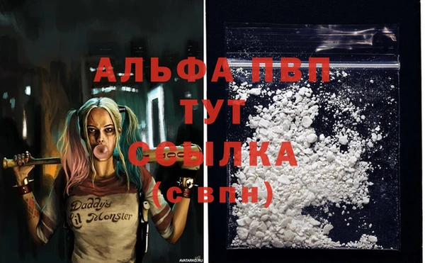 jwh Магас