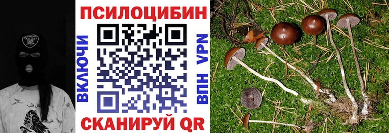 MEGA   Пойковский  площадка как зайти  Галлюциногенные грибы Magic Shrooms 
